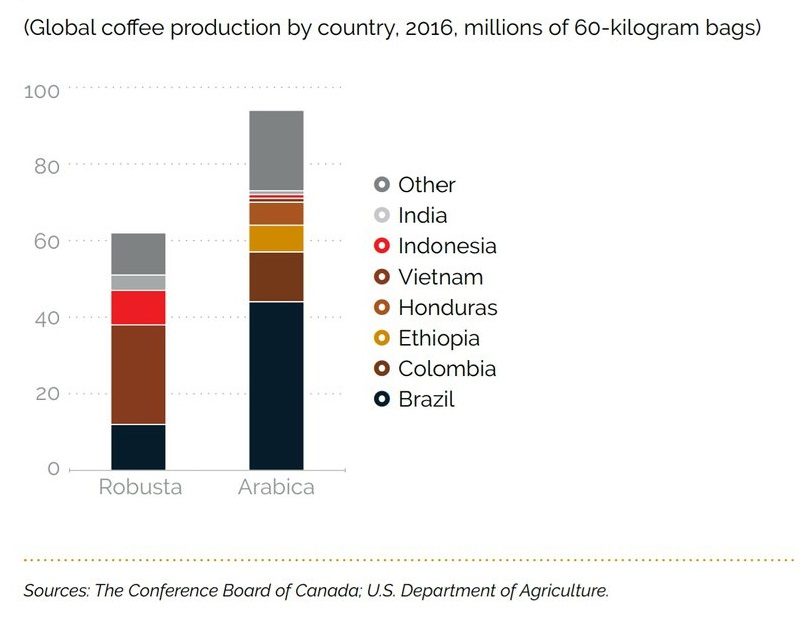 تولید کنندگان قهوه روبوستا