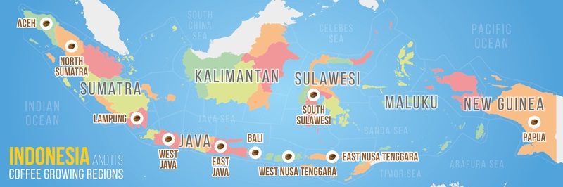 مناطق رشد قهوه روبوستا اندونزی